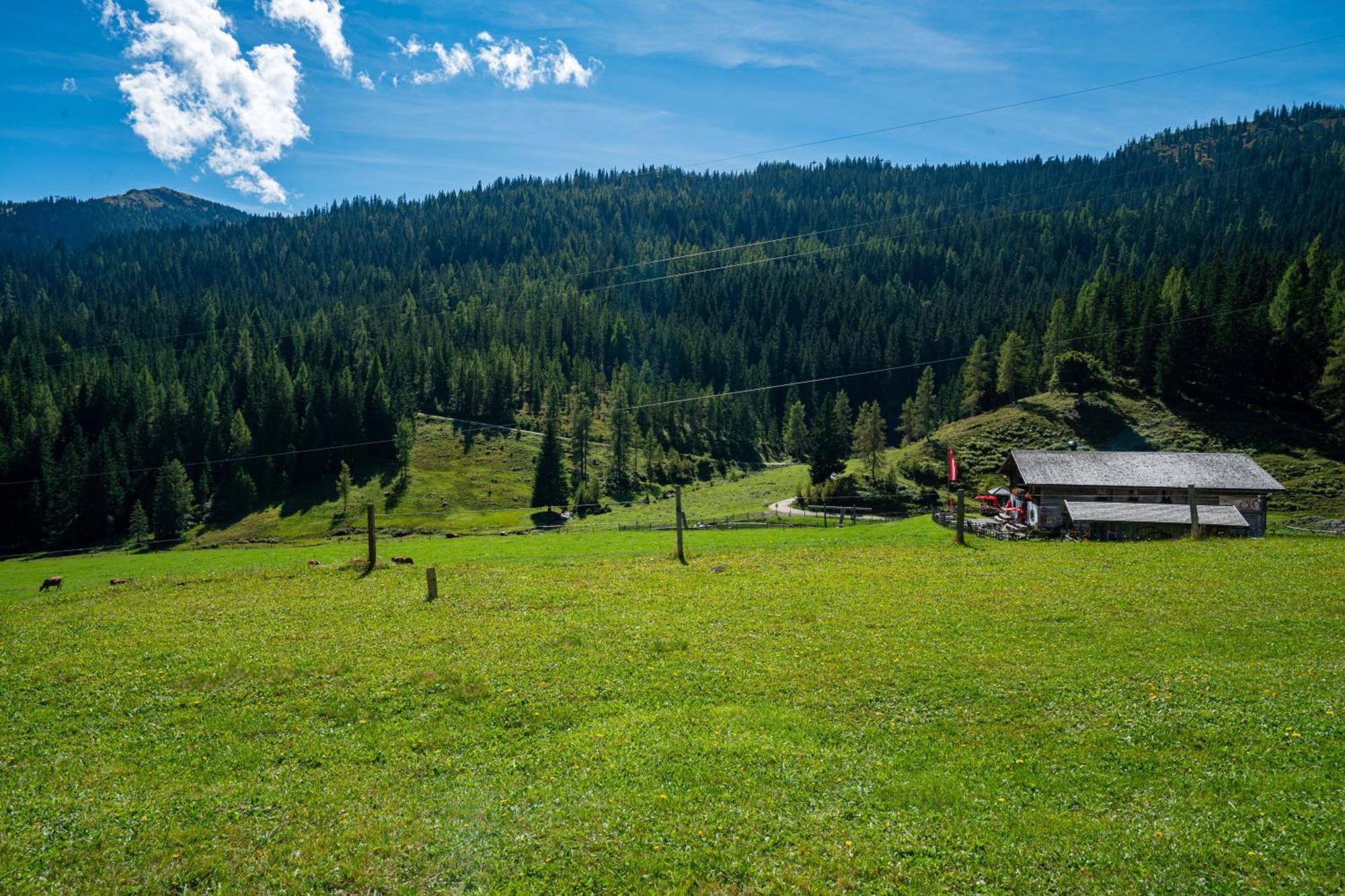 Mittereggalm Hotel Muhlbach Am Hochkonig Exterior photo