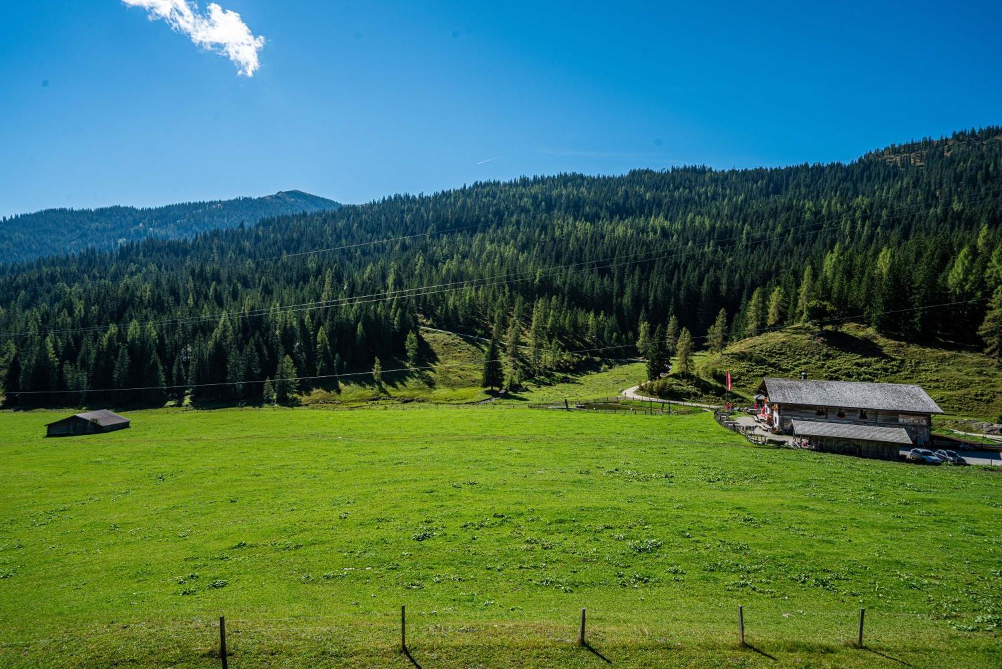 Mittereggalm Hotel Muhlbach Am Hochkonig Exterior photo